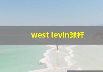 west levin球杆